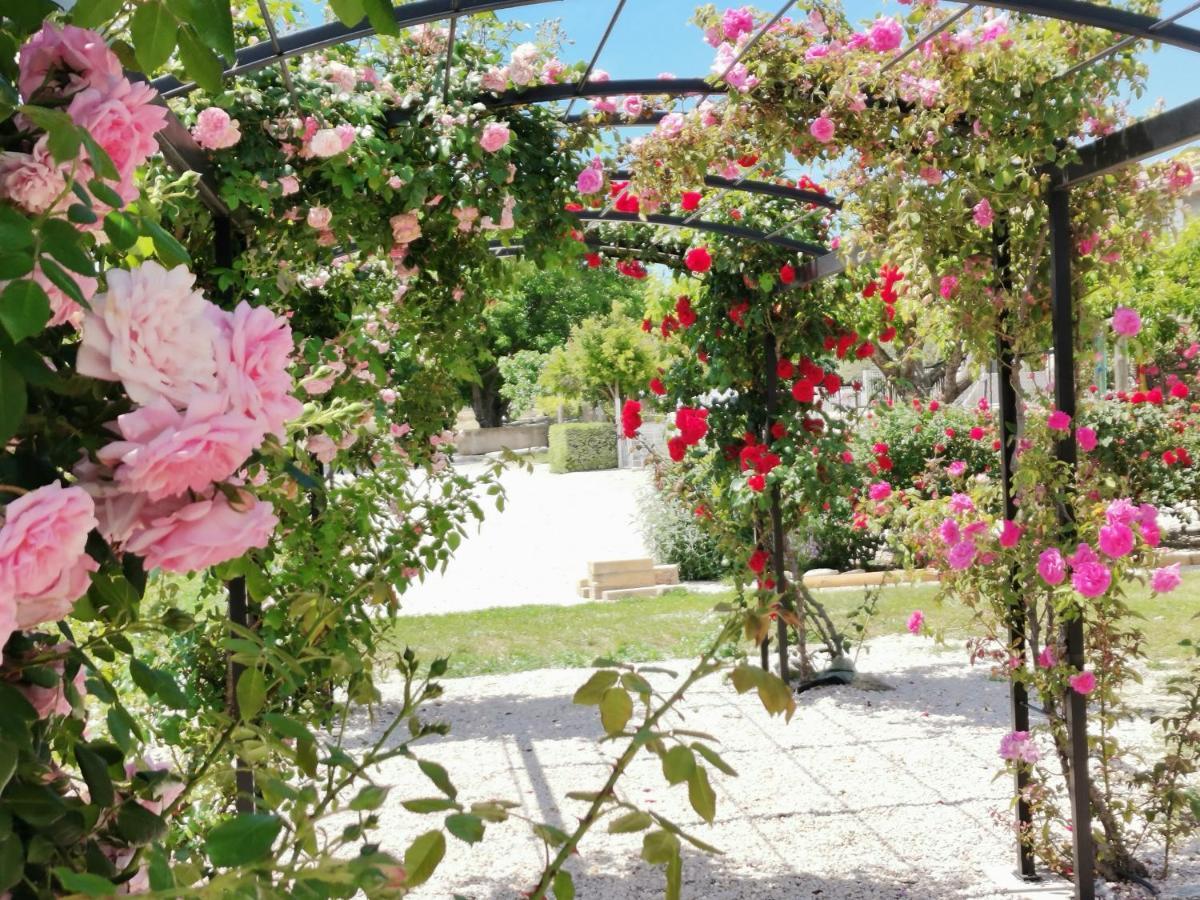 Gite En Provence "Rose" Modene Eksteriør bilde