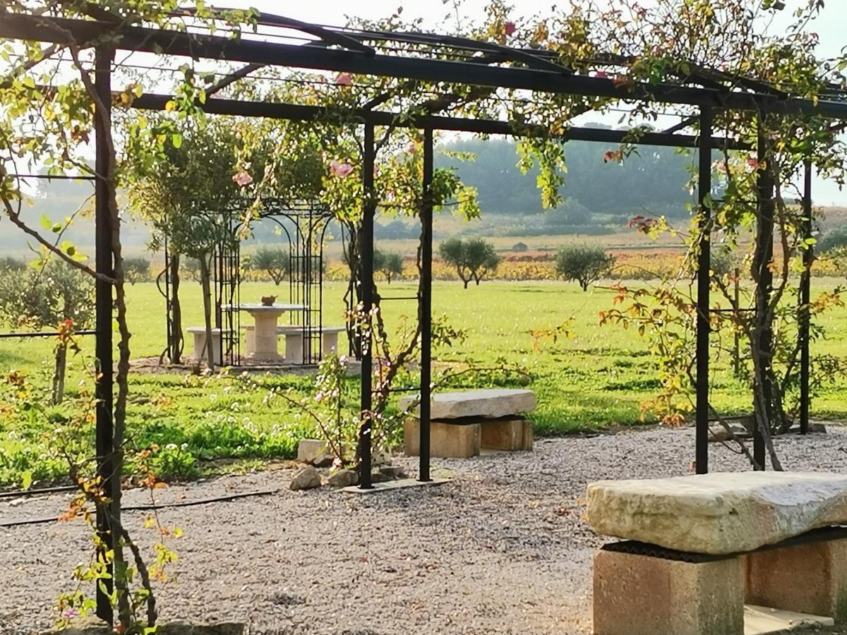 Gite En Provence "Rose" Modene Eksteriør bilde