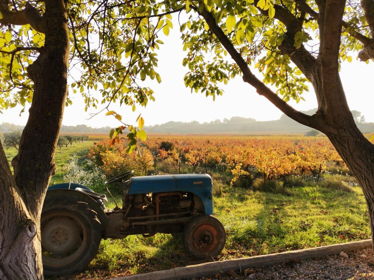 Gite En Provence "Rose" Modene Eksteriør bilde