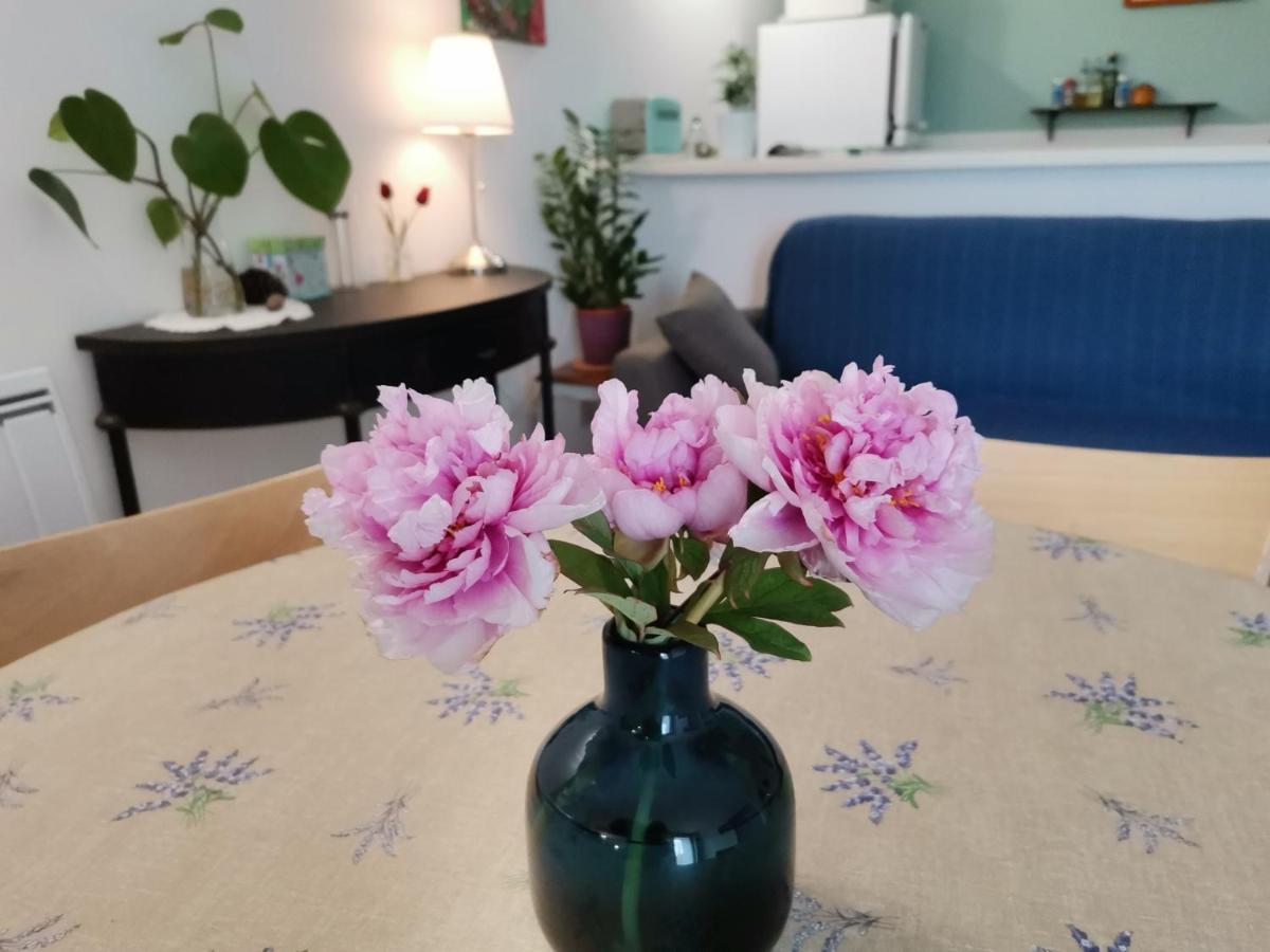 Gite En Provence "Rose" Modene Eksteriør bilde