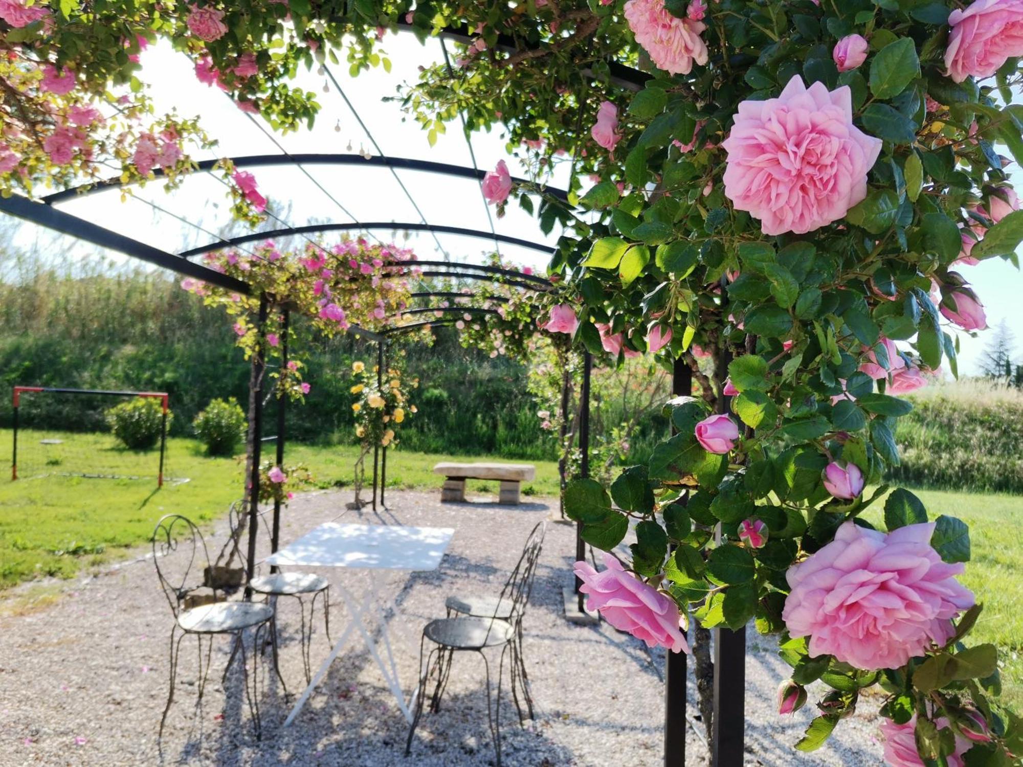 Gite En Provence "Rose" Modene Eksteriør bilde