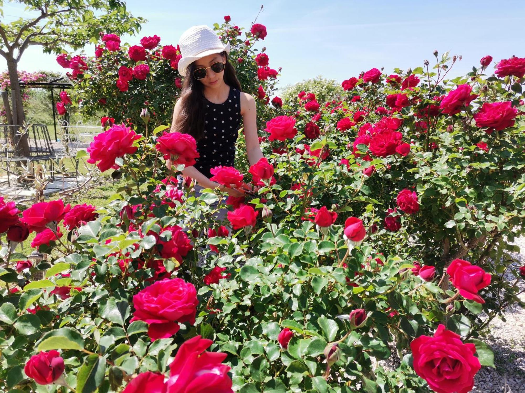 Gite En Provence "Rose" Modene Eksteriør bilde