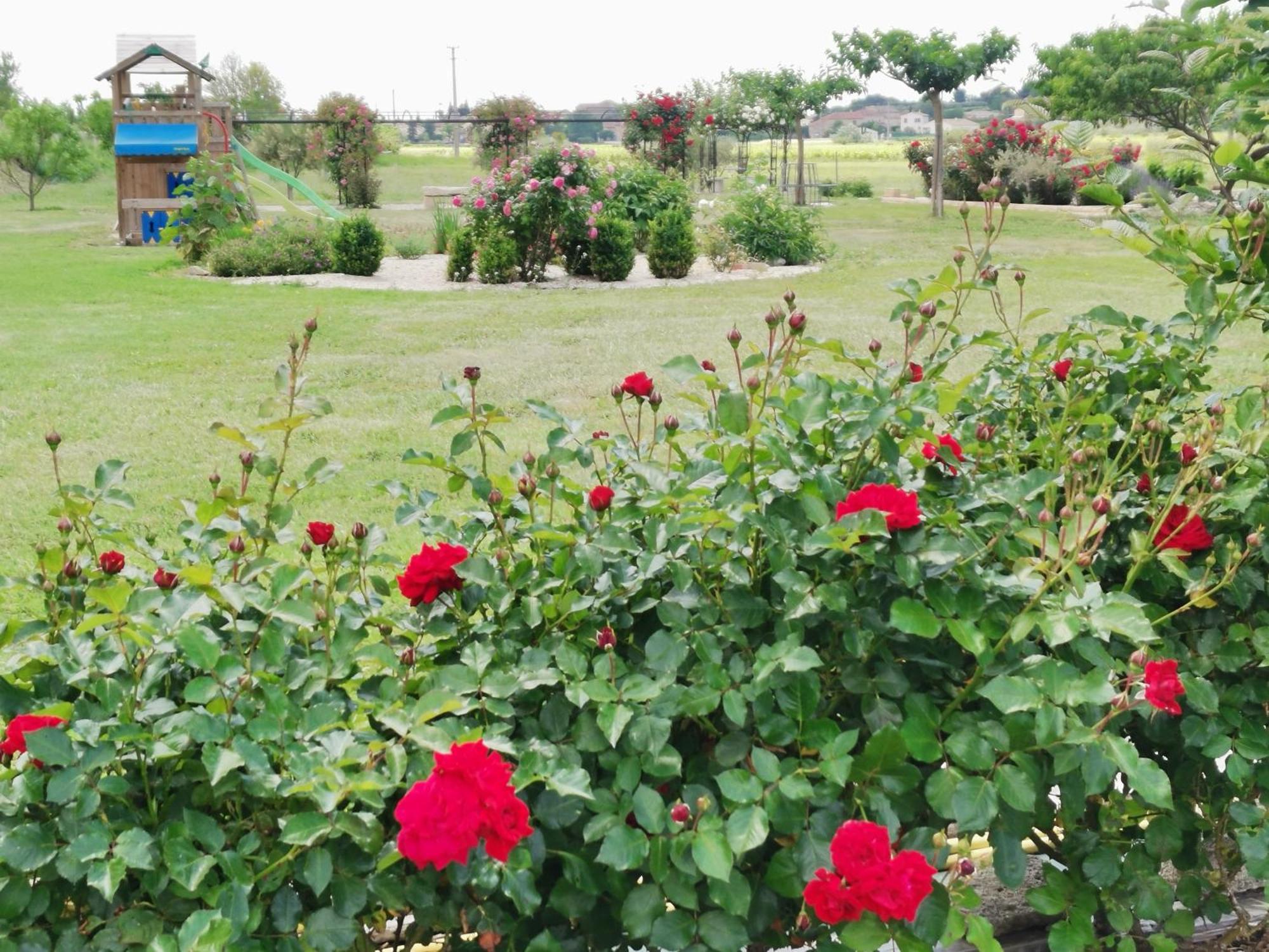 Gite En Provence "Rose" Modene Eksteriør bilde