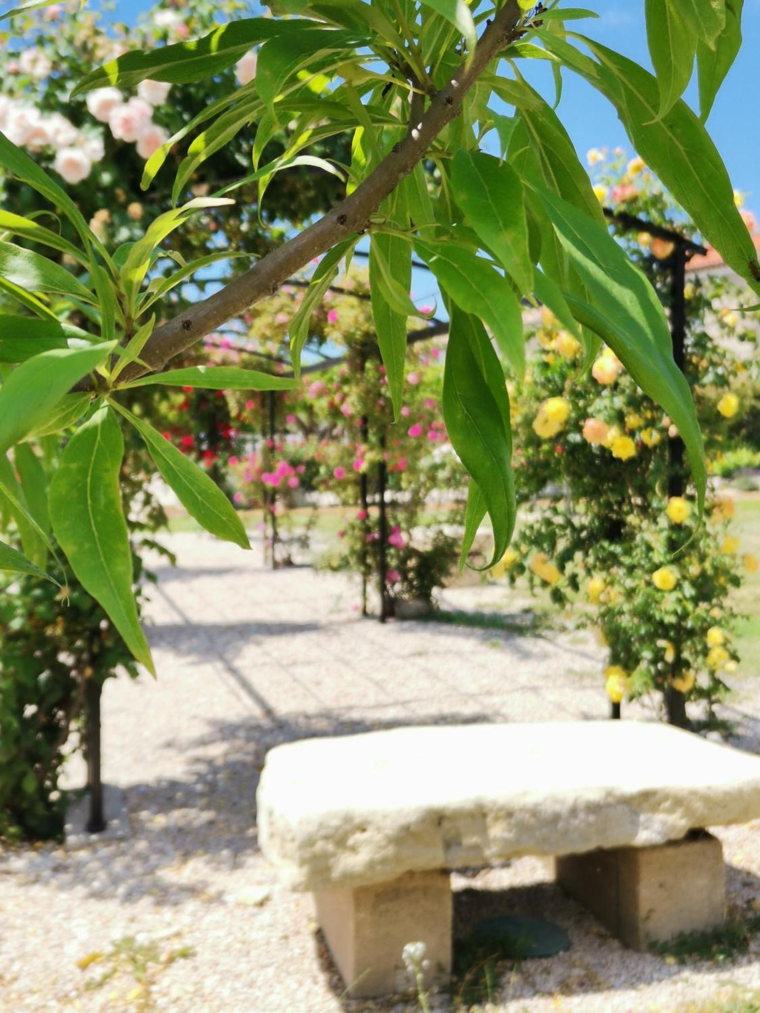 Gite En Provence "Rose" Modene Eksteriør bilde